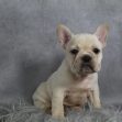Miss Macy