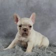 Miss Marley