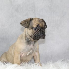 Miss Maggie Wkend Sale