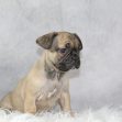 Miss Maggie Wkend Sale
