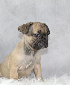 Miss Maggie Wkend Sale