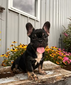 Miss Kisses!