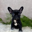 Miss Rosie