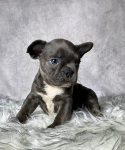 Miss Lila