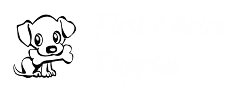 First Choice Puppies
