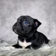 Mr Charlie