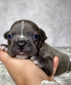 Mr. Winston- $899