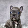 Mr. Remy