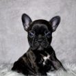 Miss Ruby