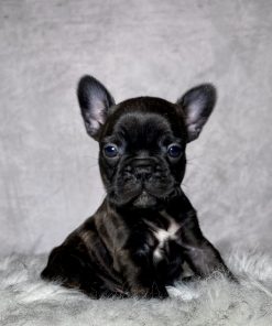 Miss Ruby